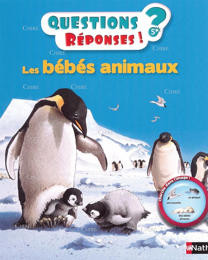 Bébés animaux - Questions réponses ! - 09