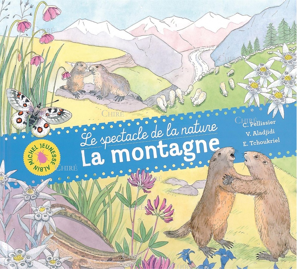 La montagne - Le spectacle de la nature
