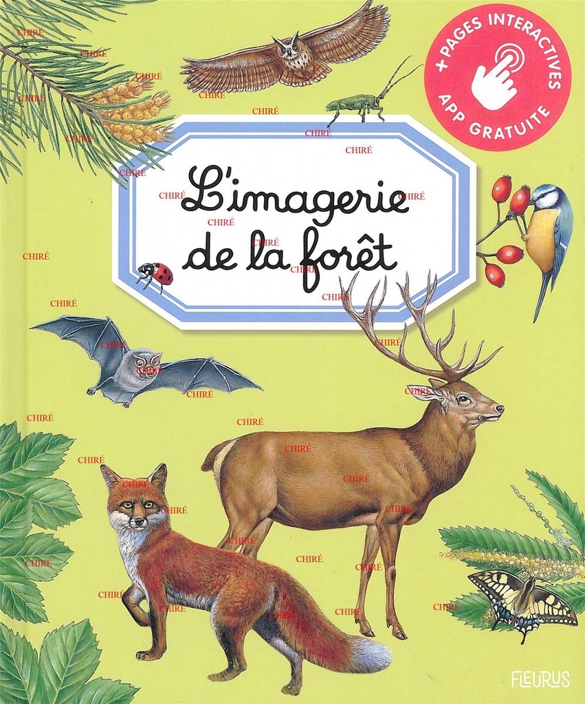L´imagerie de la forêt