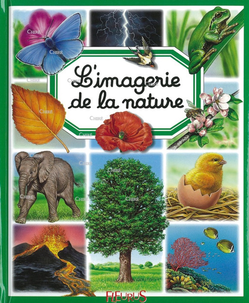 L´imagerie de la nature