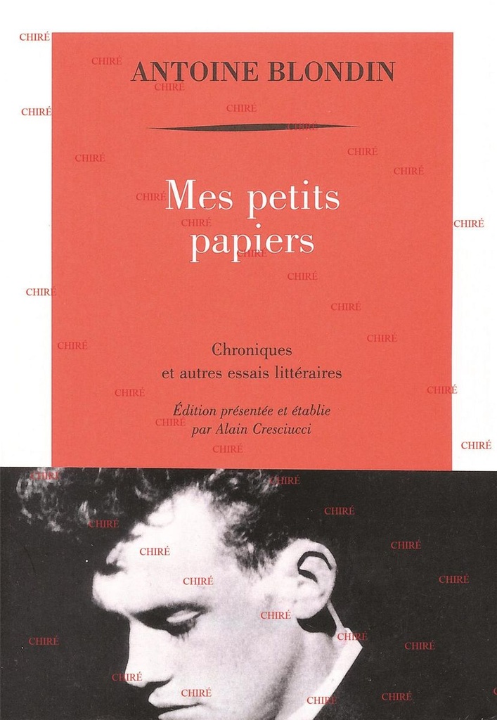 Mes petits papiers, chroniques et autres essais littéraires