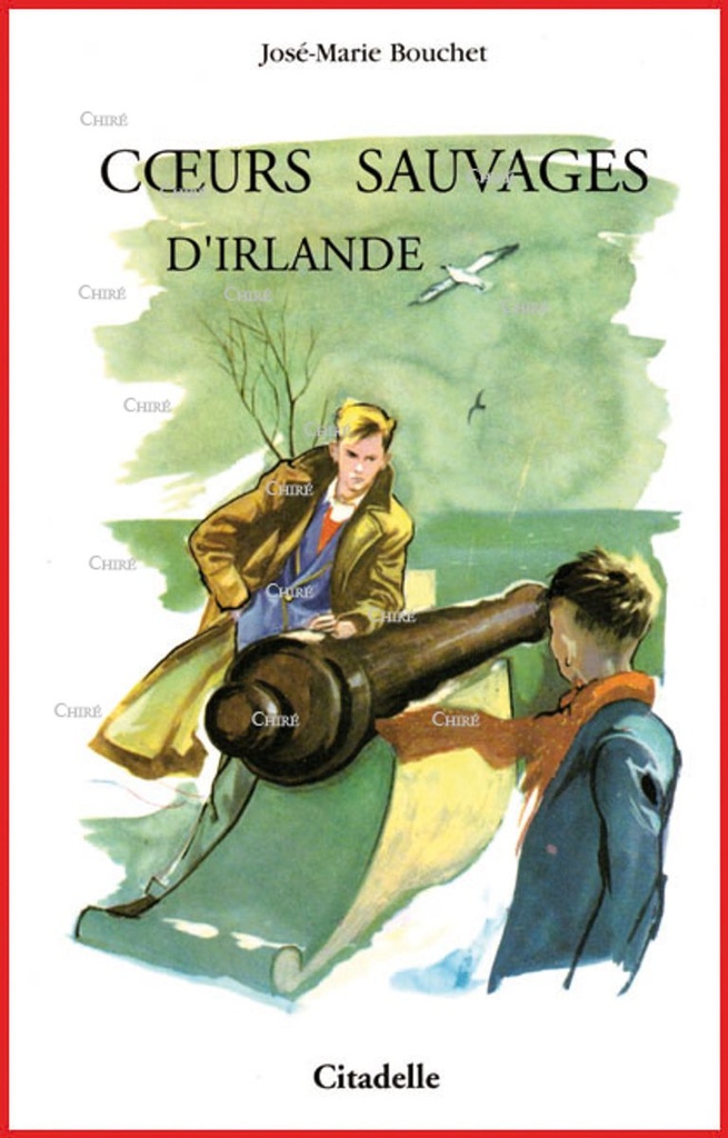 Coeurs sauvages d´Irlande