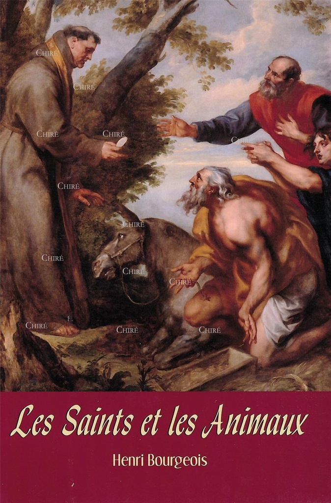 Les saints et les animaux