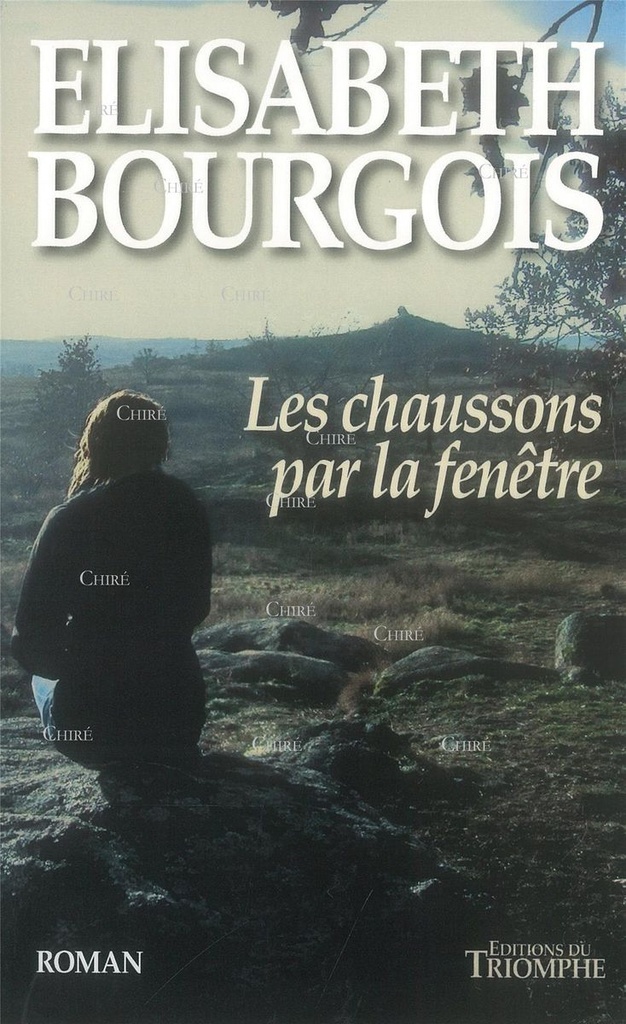 Les chaussons par la fenêtre - Roman