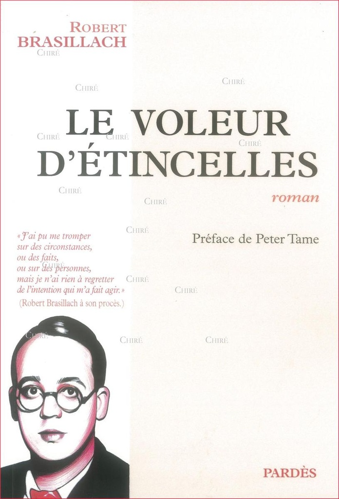 Le voleur d´étincelles - Roman