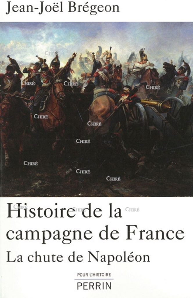 Histoire de la campagne de France - La chute de Napoléon