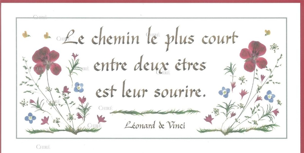 Le chemin le plus court entre deux êtres est leur sourire - CFR-050/Vinci