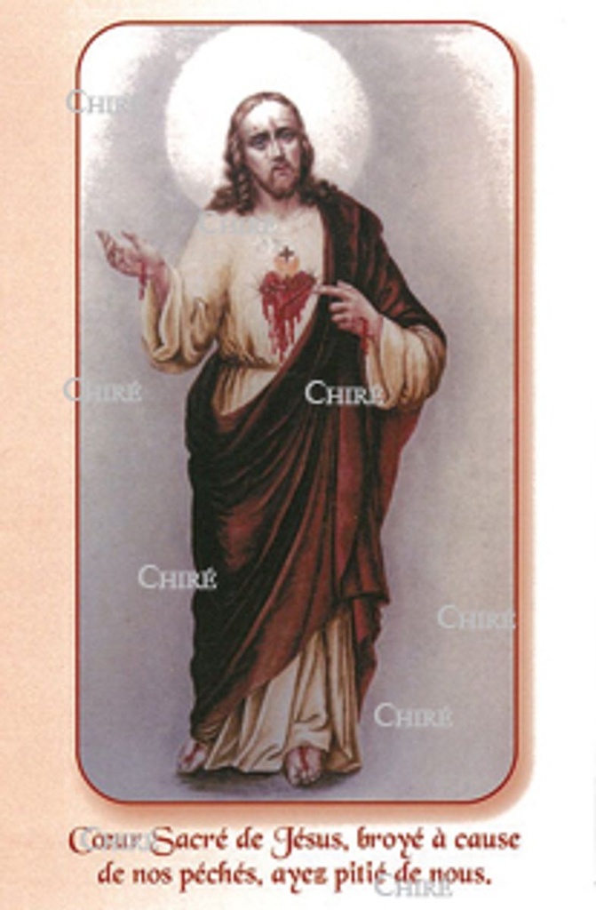 Carte plastifiée - Coeur Sacré de Jésus, broyé à cause de nos péchés, ayez pitié de nous "Loublande" - 3