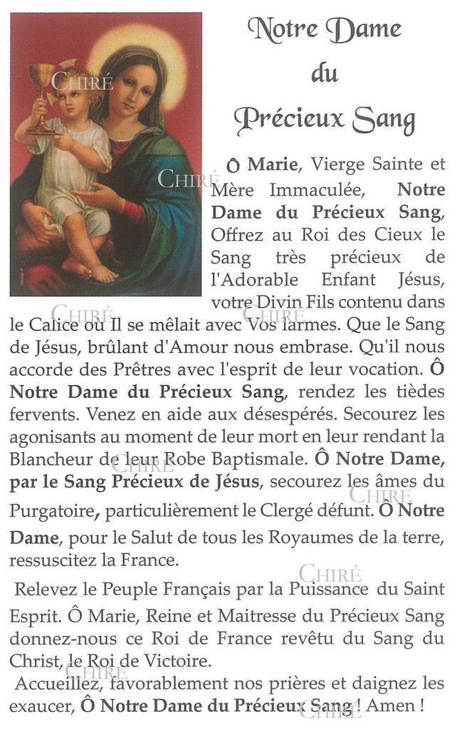 Carte plastifiée - Notre Dame du Précieux Sang - 22