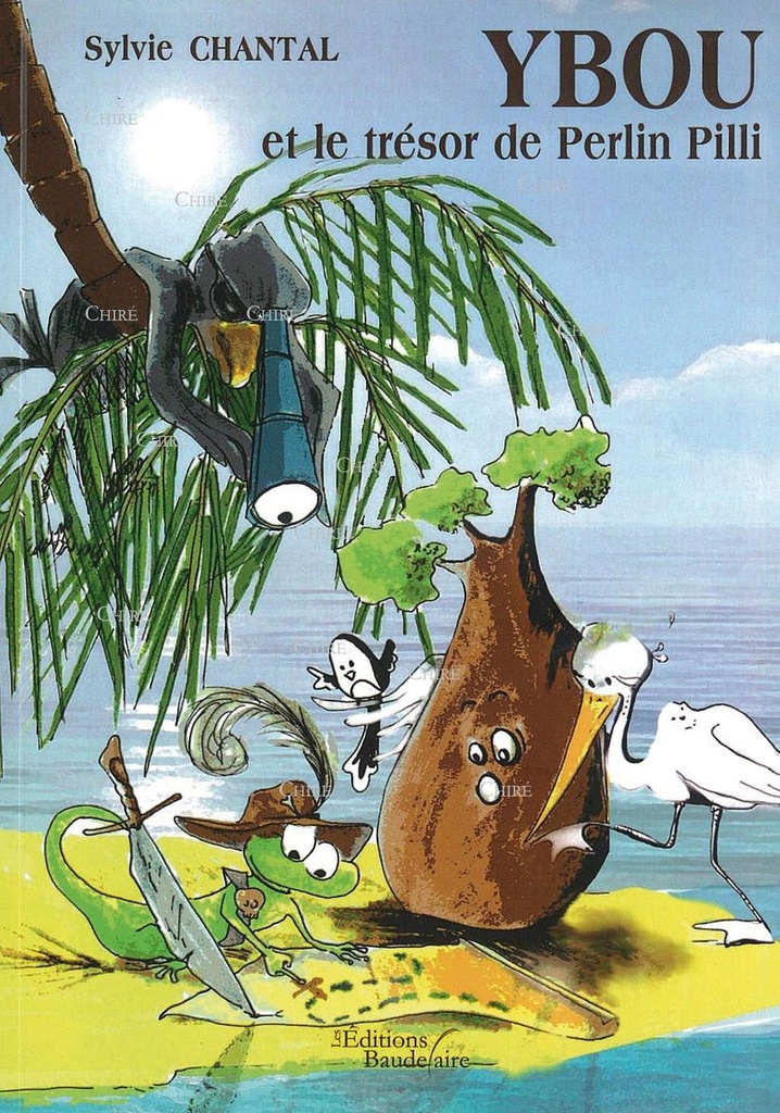 Ybou et le trésor de Perlin Pilli