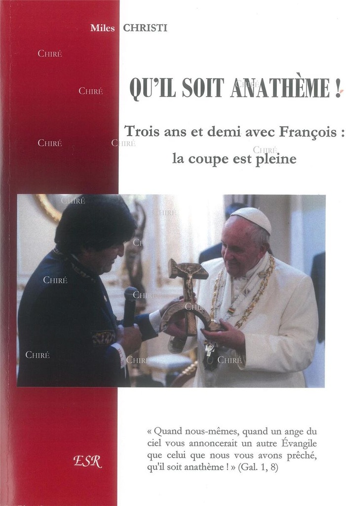 Qu´il soit anathème ! Trois ans et demi avec François : la coupe est pleine