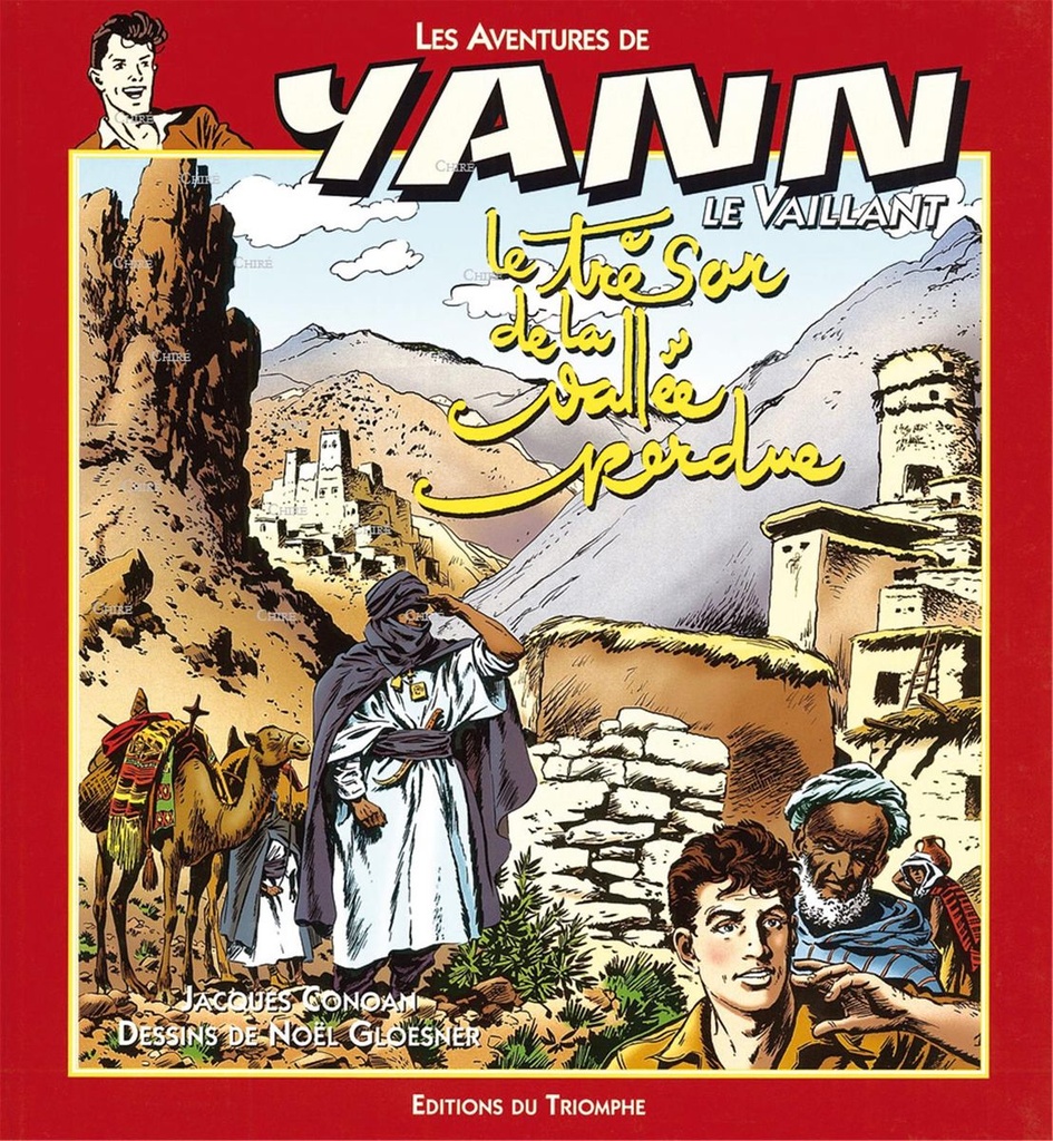 Les aventures de Yann le vaillant - N° 5 : Le trésor de la vallée perdue