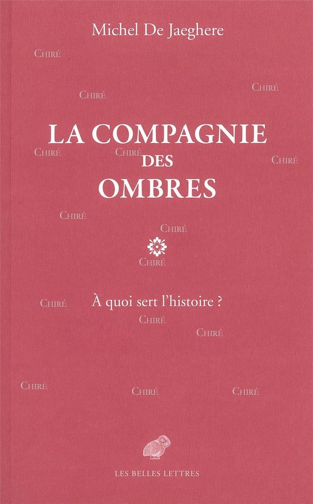 La compagnie des ombres - À quoi sert l´histoire ?