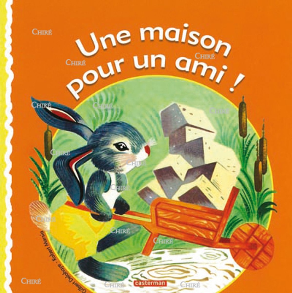 Raconte-moi T 12 - Une maison pour un ami !