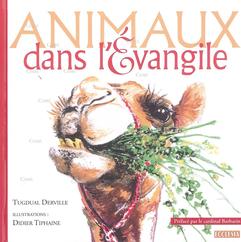 Les animaux dans l´Évangile