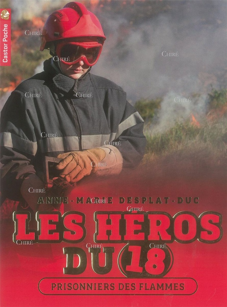 Les héros du 18 - T02 - Prisonniers des flammes