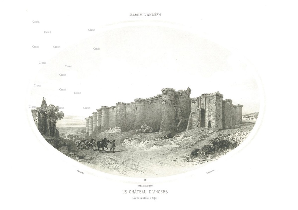 Angers (Le château)
