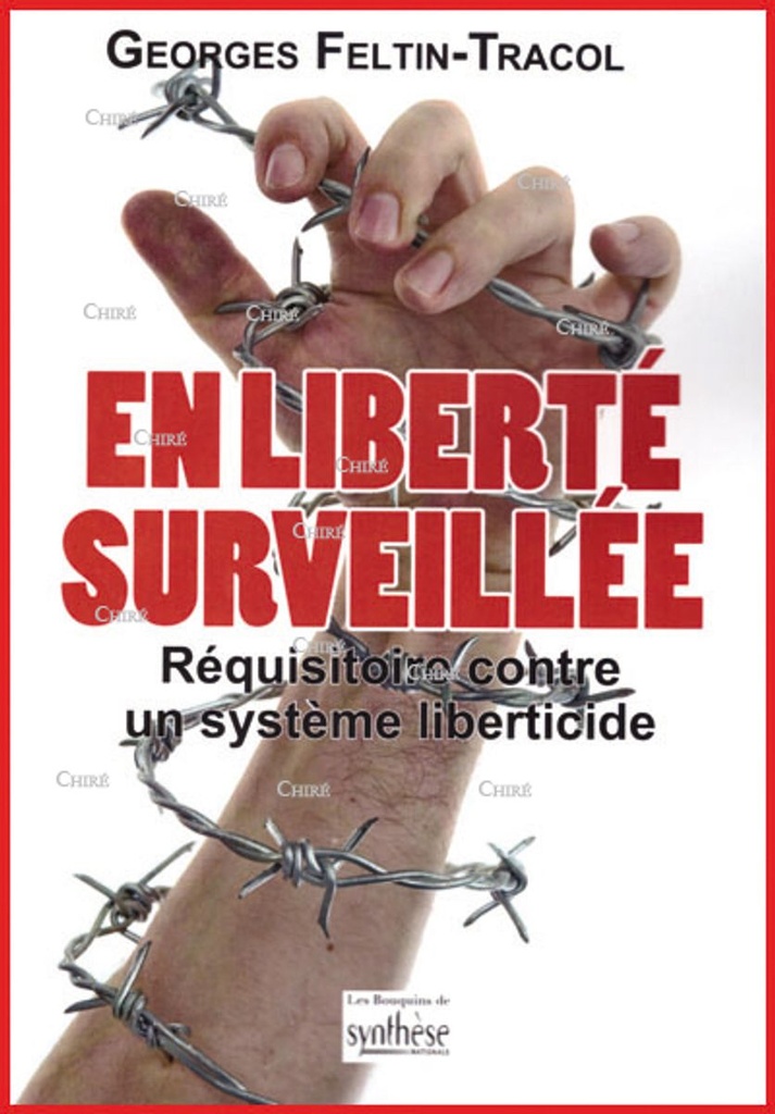 En liberté surveillée - Réquisitoire contre un système liberticide