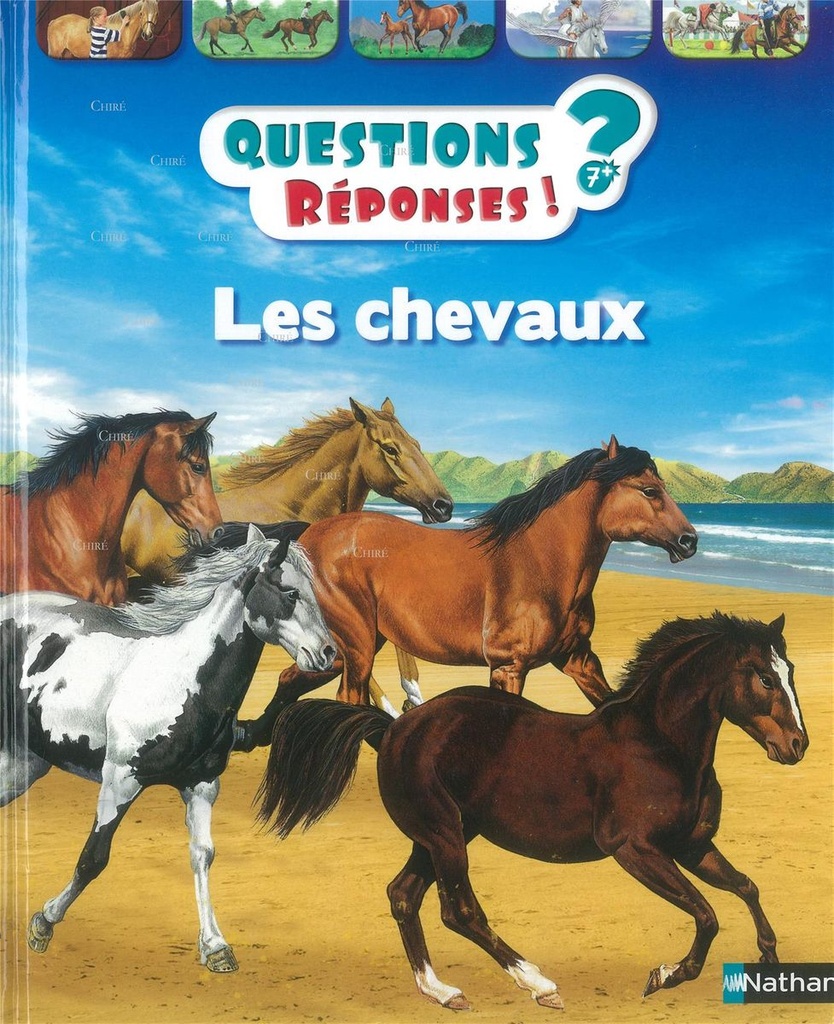 Les chevaux - Questions réponses
