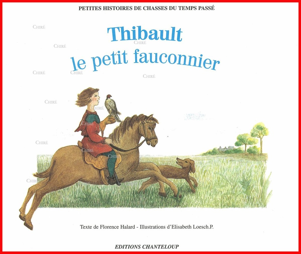 Thibault le petit fauconnier