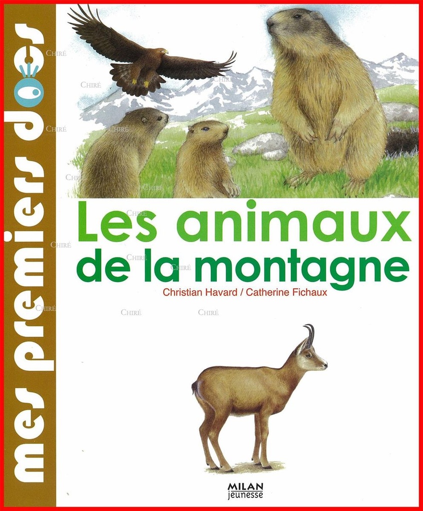 Les animaux de la montagne