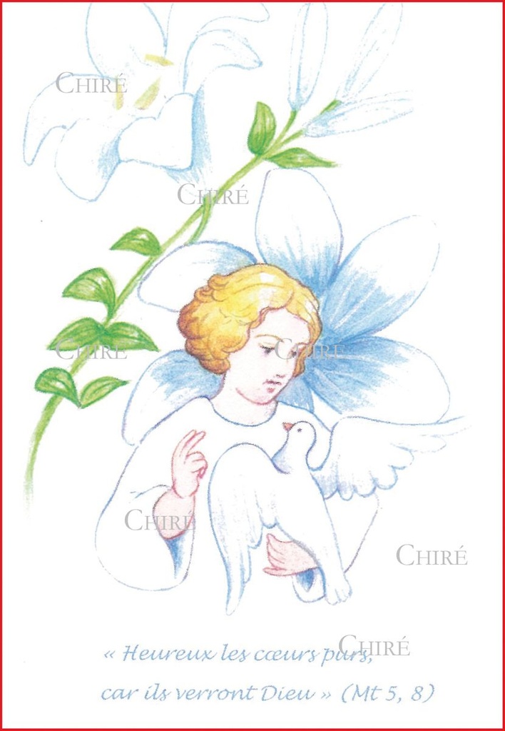 Image Sainte - Confirmation - Garçon - Heureux les coeurs purs - 5370