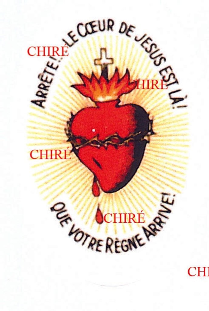 Sauvegarde "Arrête ! Le Coeur de Jésus est là" - Médaillon ovale plastifié
