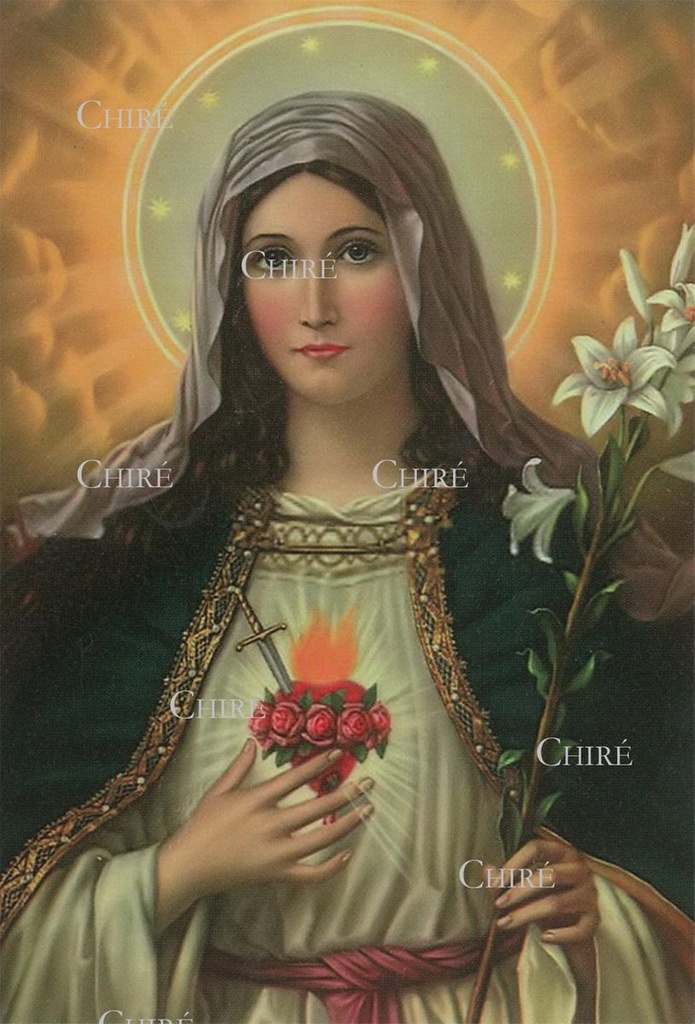 Consécration au Coeur Douloureux et Immaculé de Marie - Image plastifiée - IPM28