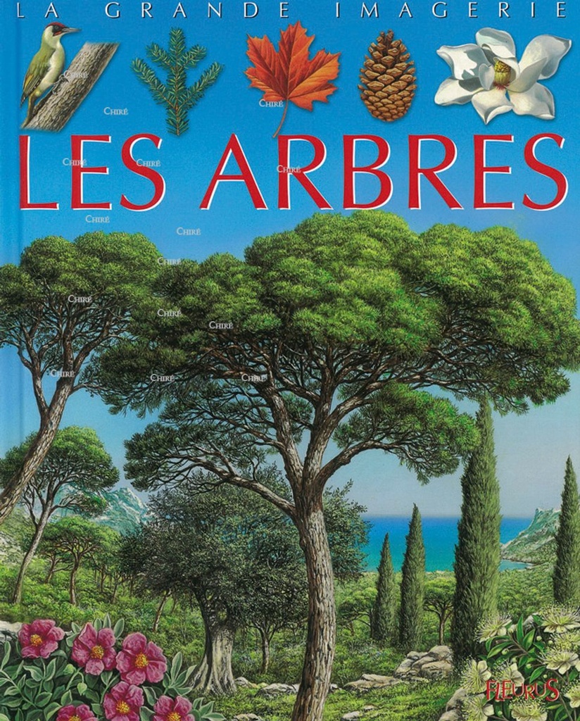 La grande imagerie - Les arbres