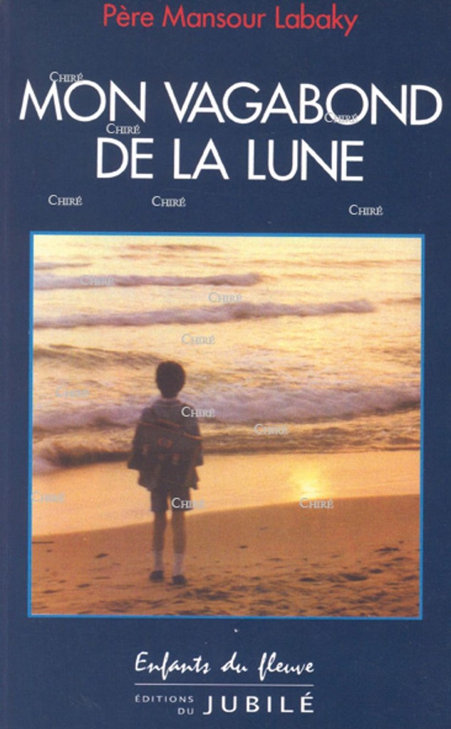 Mon vagabond de la lune