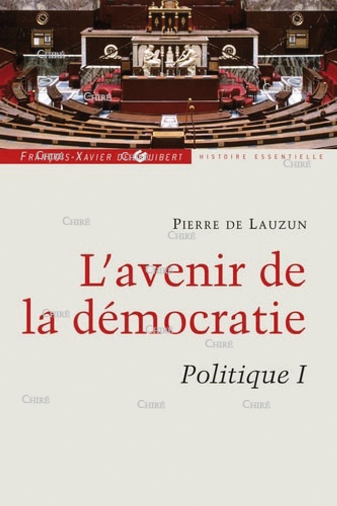 L´avenir de la démocratie - Politique 1