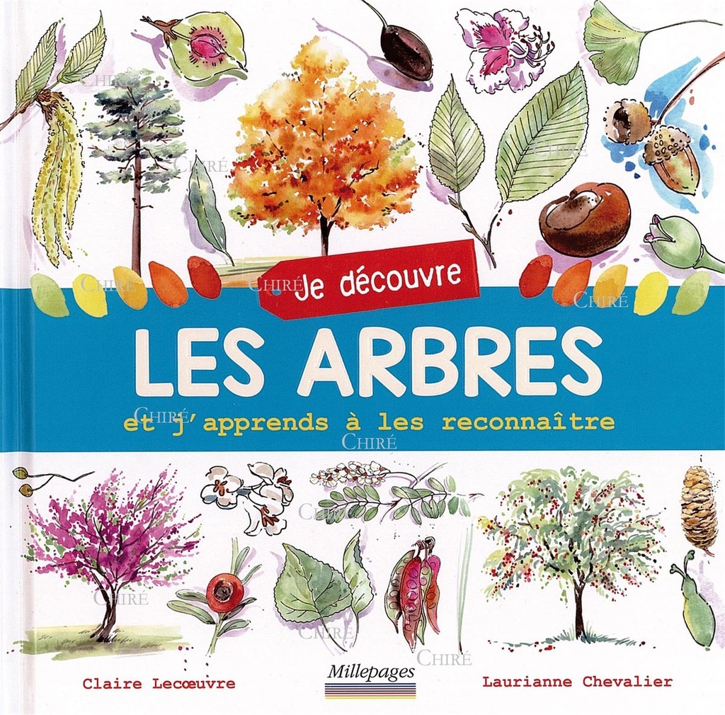 Je découvre les arbres - J´apprends à les reconnaître