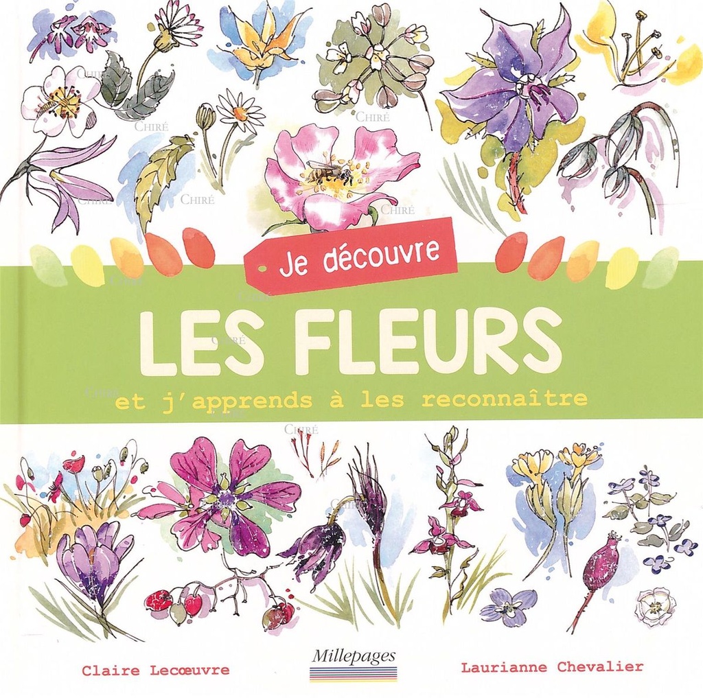 Je découvre les fleurs et j'apprends à les reconnaître