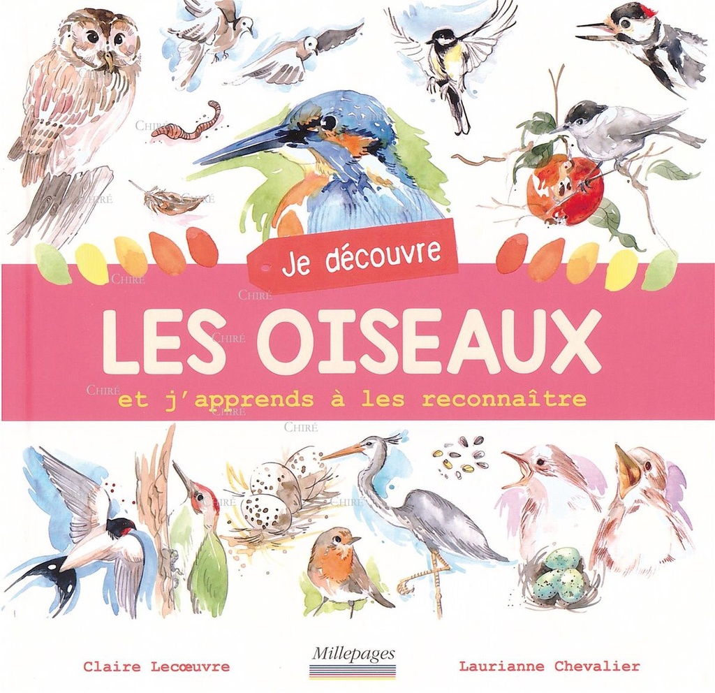 Je découvre les oiseaux et j´apprends à les reconnaître