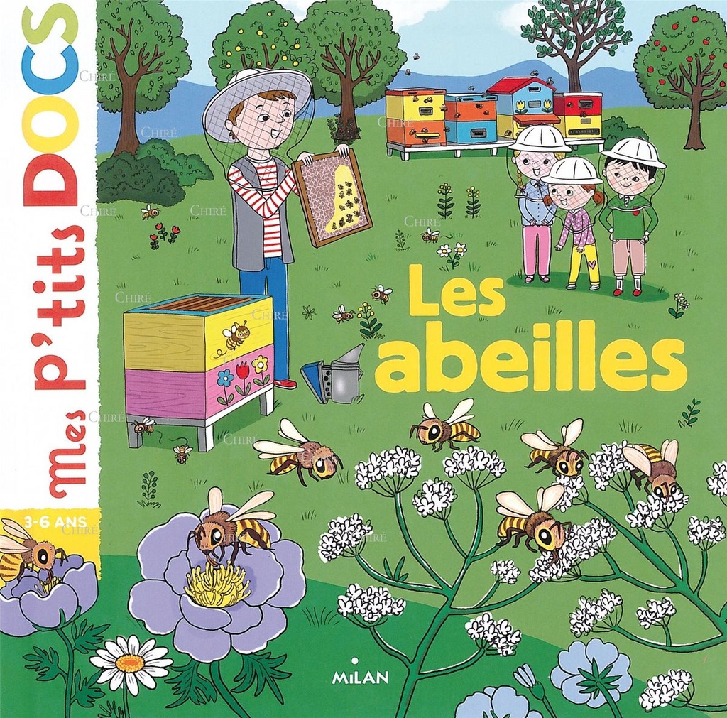 Les abeilles - Mes p'tits docs
