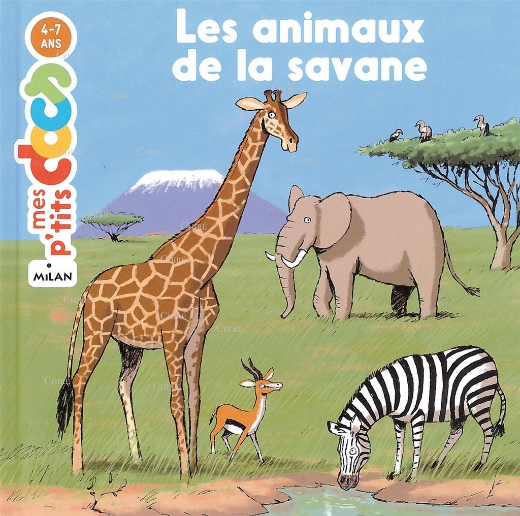Les animaux de la savane - Mes p'tits docs 4-7 ans