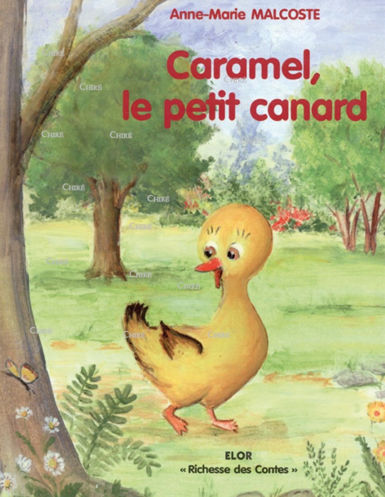 Caramel, le petit canard