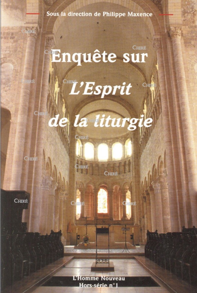Enquête sur l´esprit de la liturgie