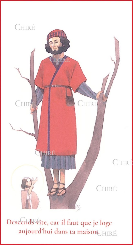 Amadour Saint - Zachée