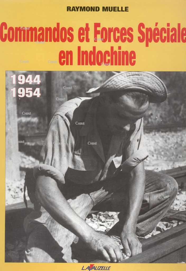 Commandos et forces spéciales en Indochine 1944-1954