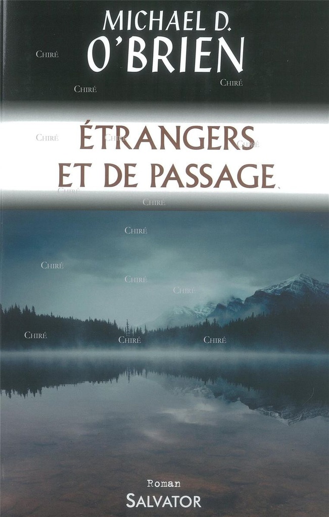 Étrangers et de passage - Roman