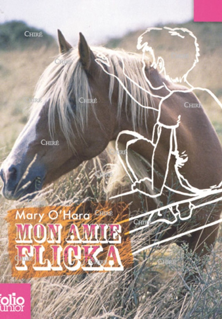 Mon amie Flicka
