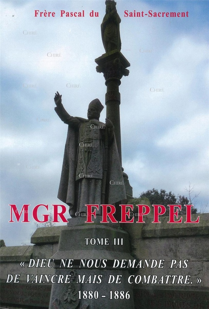 Mgr Freppel - T3 - "Dieu ne nous demande pas de vaincre mais de combattre" 1880-1886
