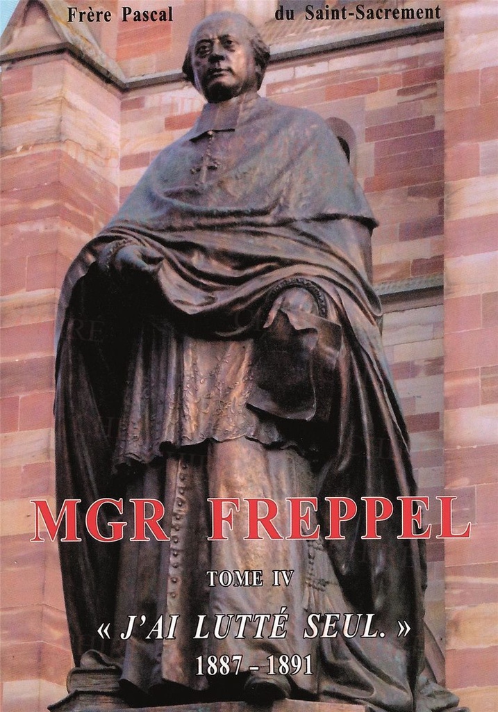 Mgr Freppel - T4 - "J´ai lutté seul" 1887-1891