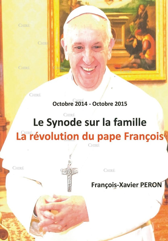 Le synode sur la famille - La révolution du pape François