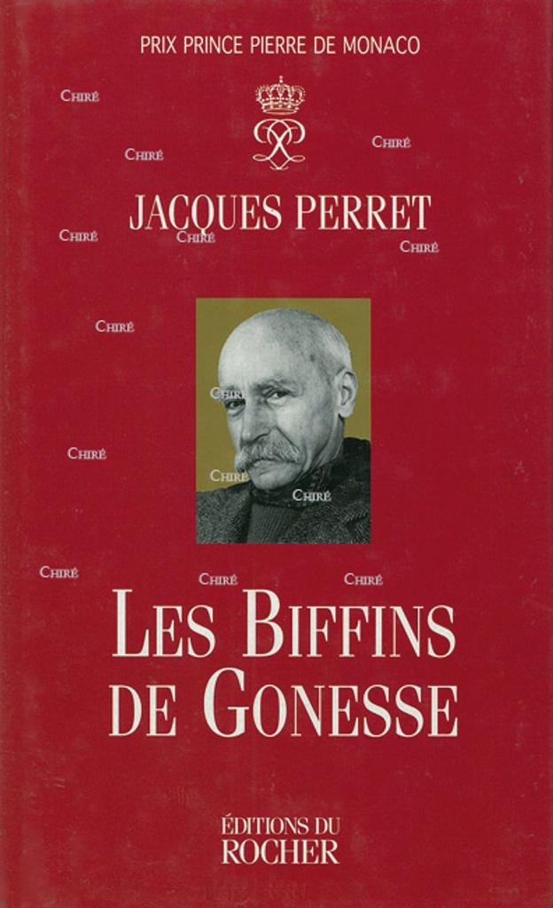Les biffins de Gonesse
