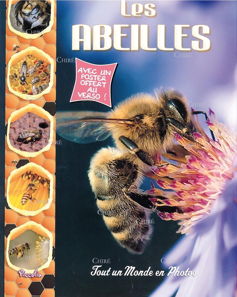 Les abeilles - Tout un monde en photos