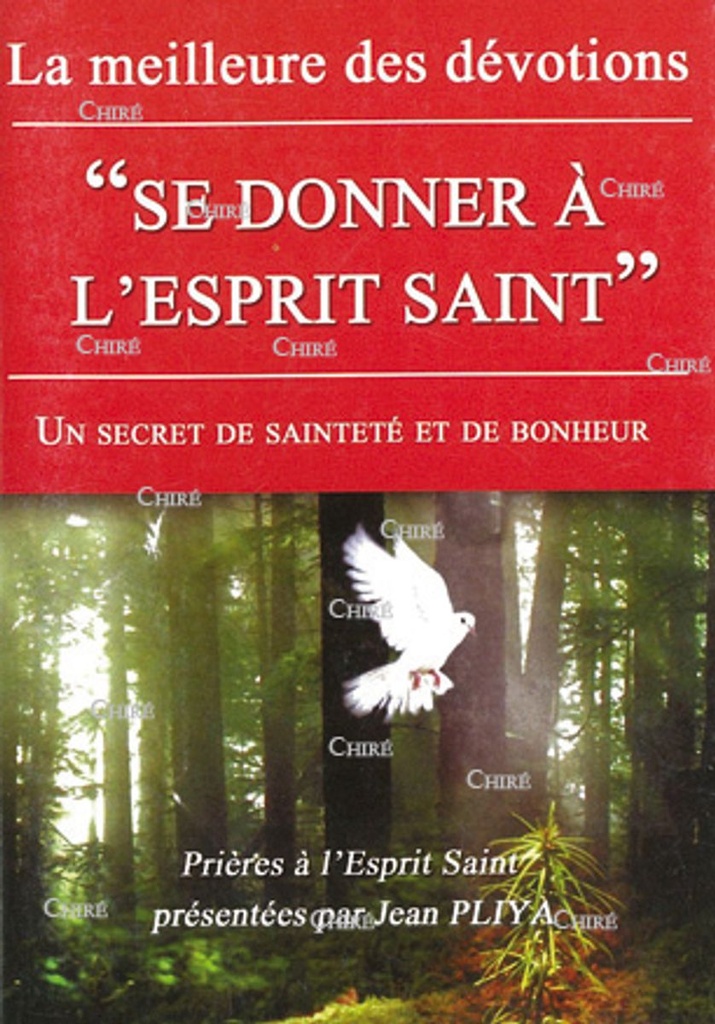 Se donner à l´Esprit Saint