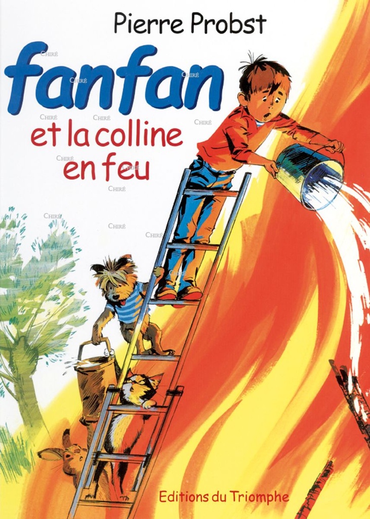 Fanfan et la colline en feu - BD
