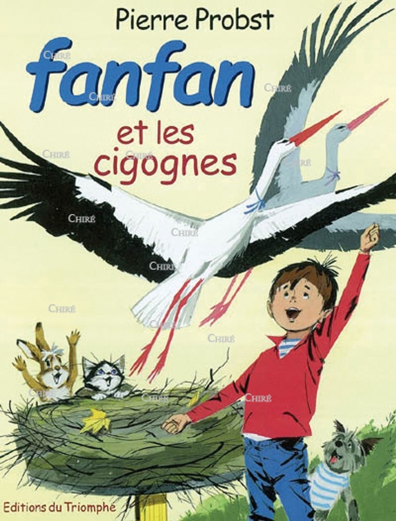 Fanfan et les cigognes